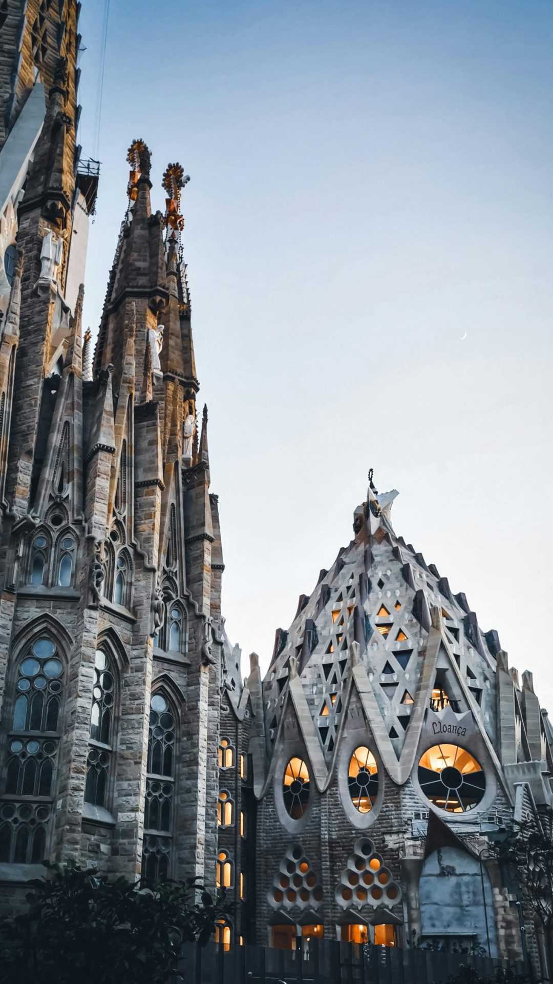 pexels-tkirkgoz-14576339